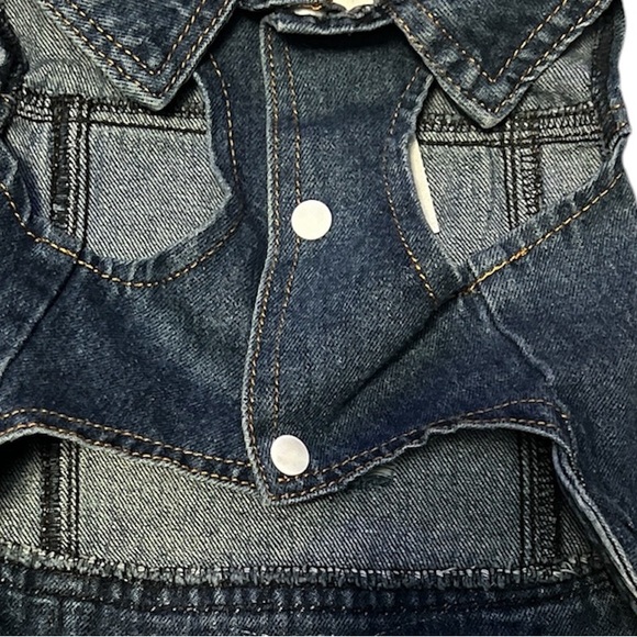 Flower Pup Distressed Guns and Roses Denim Jacket - Picture 4 of 4